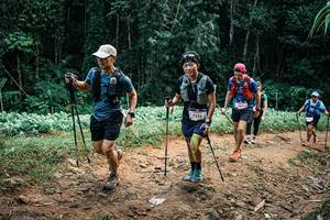 BIB: 
                            <button type="button" onclick="openModal(26083464)" class="btn btn-primary btn-sm float-right btn-popup" data-toggle="modal" data-target=".modal-high-quality">
                        <i class="fas fa-shopping-cart"></i> Add to Cart
                    </button>
                                            <button type="button" onclick="isThisMe(26083464, true)" class="btn btn-success btn-sm float-right btn-popup btn-isme hidden" data-toggle="tooltip" data-placement="bottom" title="นี่คือรูปของคุณใช่ไหม คลิกที่นี่เพื่อเอาเข้าอัลบั้ม">
                        <i class="fas fa-plus"></i> Add to album
                    </button>
                    <button type="button" onclick="isThisMe(26083464, false)" class="btn btn-warning btn-sm float-right btn-popup btn-isnotme hidden">
                        <i class="fas fa-ban"></i> Remove from album
                    </button>